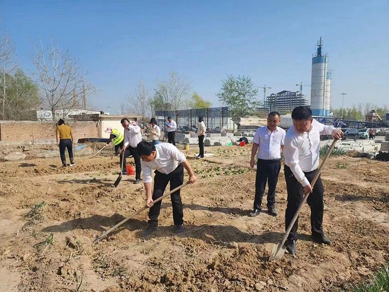 “春播添新綠，不負(fù)好春光”-城建新型材料公司黨支部開(kāi)展主體黨日活動(dòng)